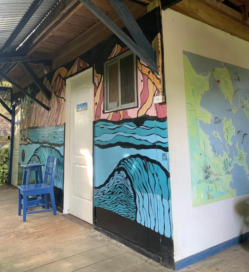 מלון בוקס דל טורו Surf Camp מראה חיצוני תמונה