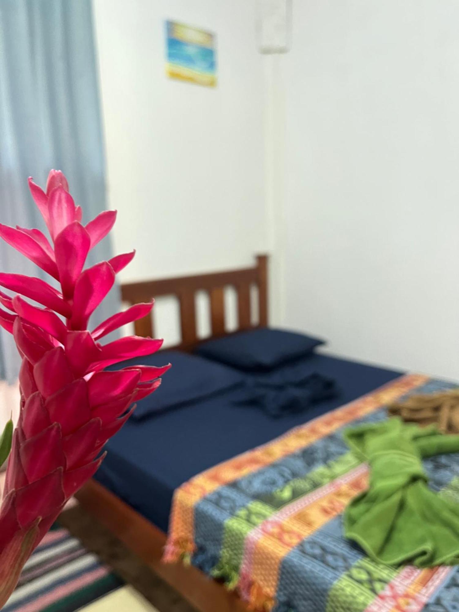 מלון בוקס דל טורו Surf Camp מראה חיצוני תמונה